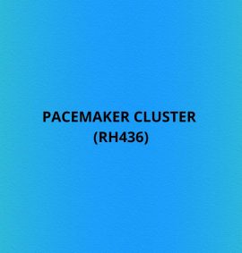 Pacemaker Cluster